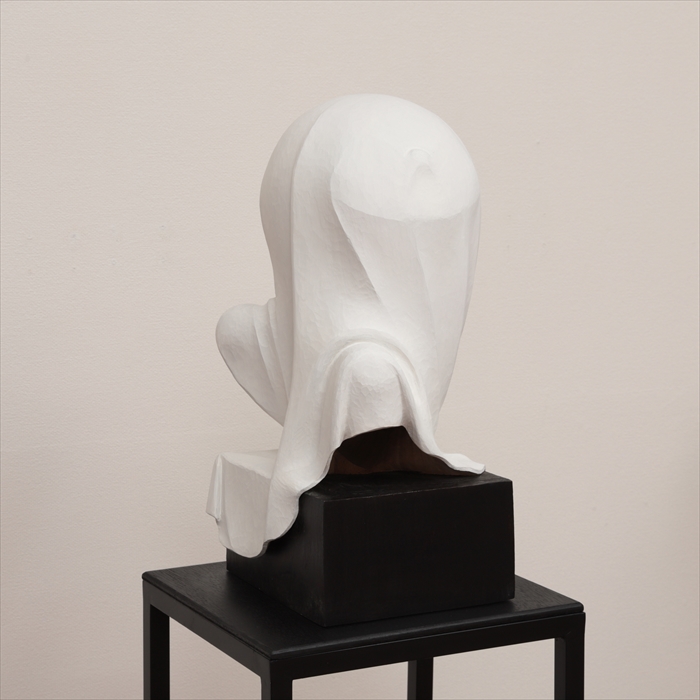SCULPTURE VEIL NO.9