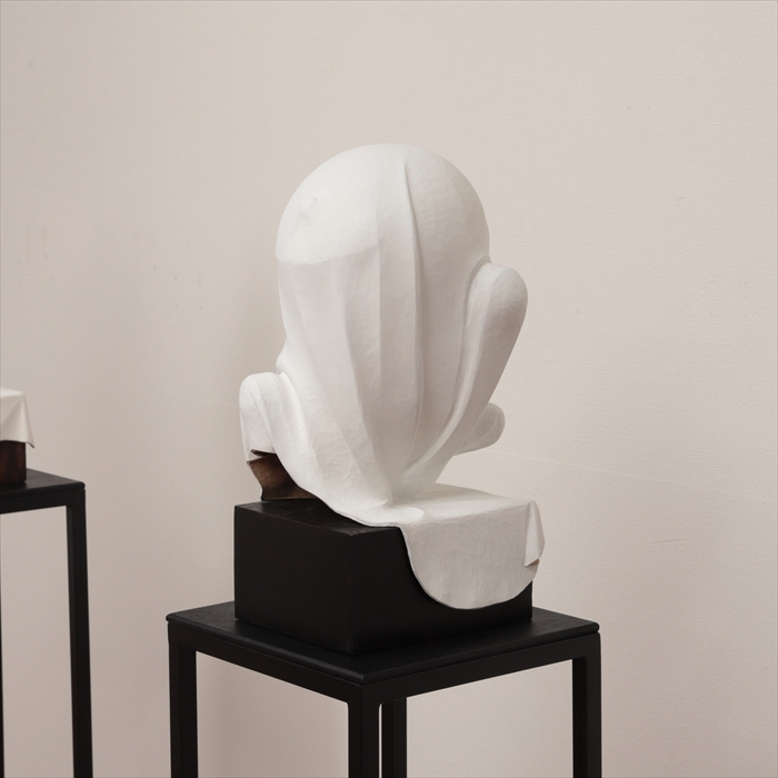 SCULPTURE VEIL NO.9