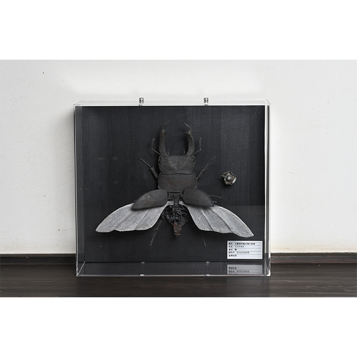 小鍬型再製式飛行装置