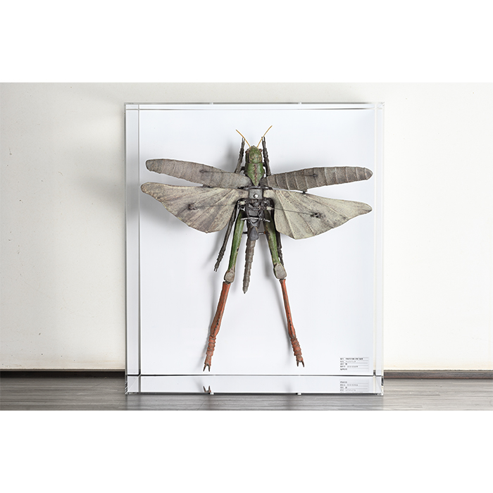 車蝗型再製式飛行装置