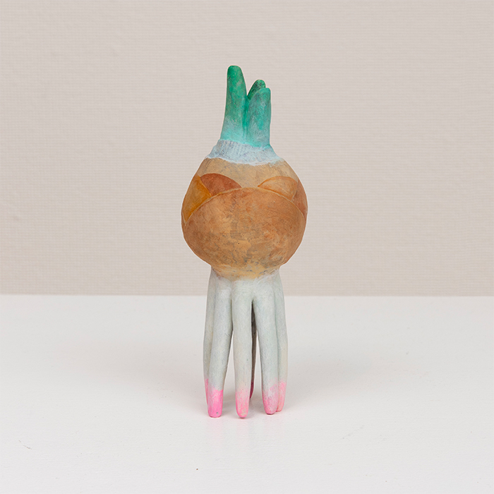 球根から根が生えて