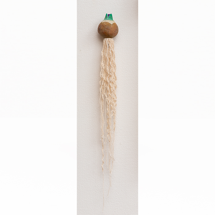 球根から根が生えて（小）