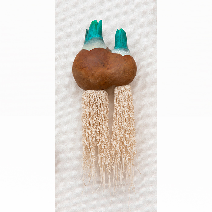 球根から根が生えて（中）