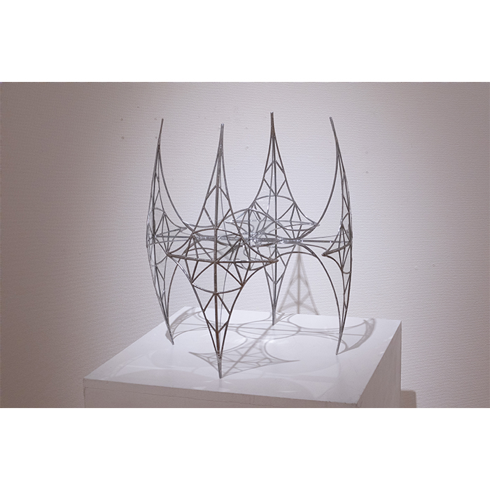 ヴェイナクサ Veinaxa