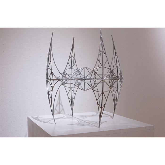 ヴェイナクサ Veinaxa