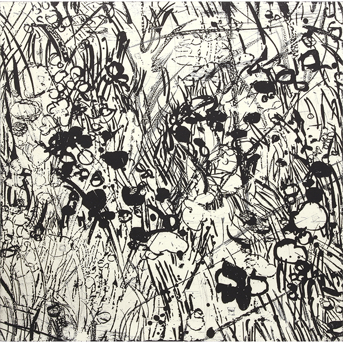 Vacant lot#6