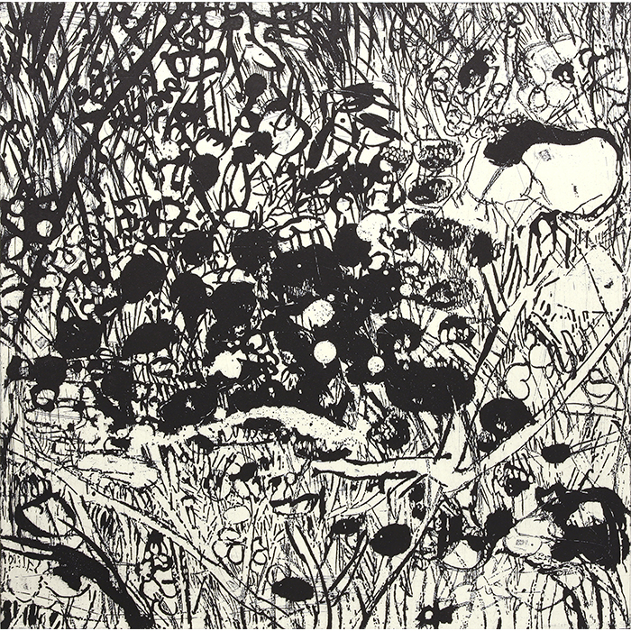 Vacant lot#8