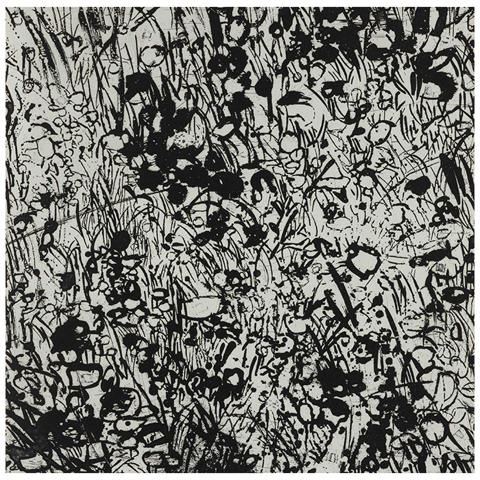 Vacant lot#9