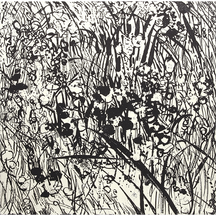 Vacant lot#11
