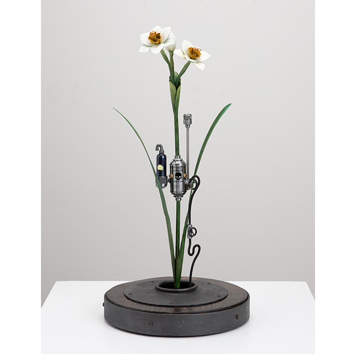 49. Daffodil of Deception#2