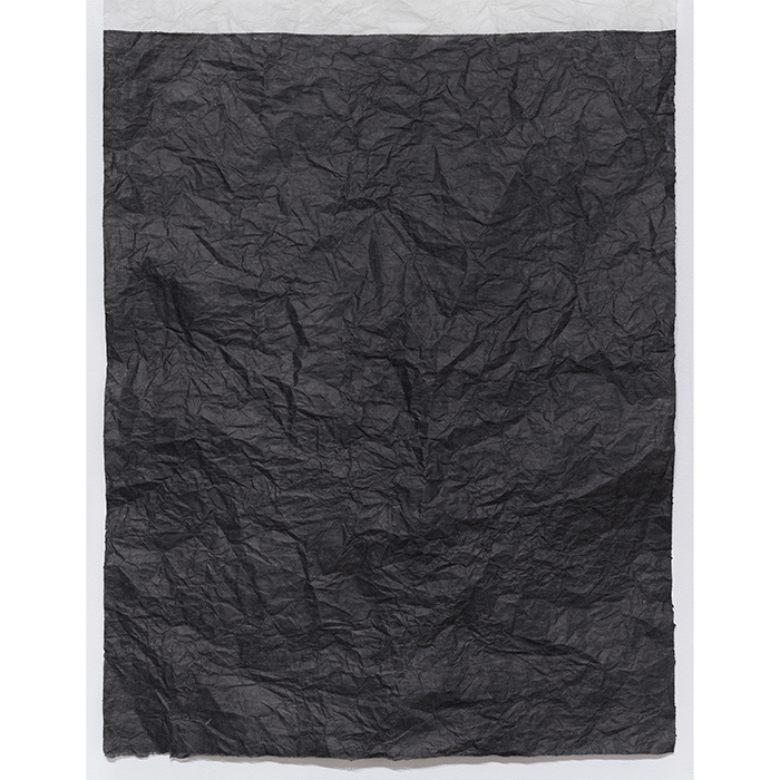 98. IN(WP-240525121539)